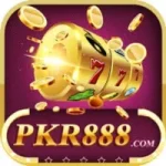 888-pkr