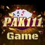 pak-111-game